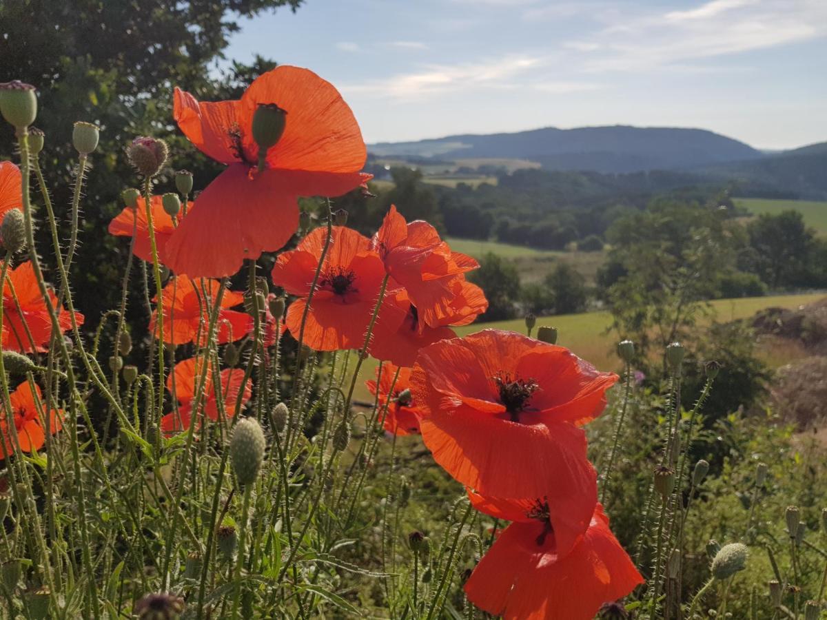 Vakantieappartement Achat Duitsland Wirschweiler 외부 사진